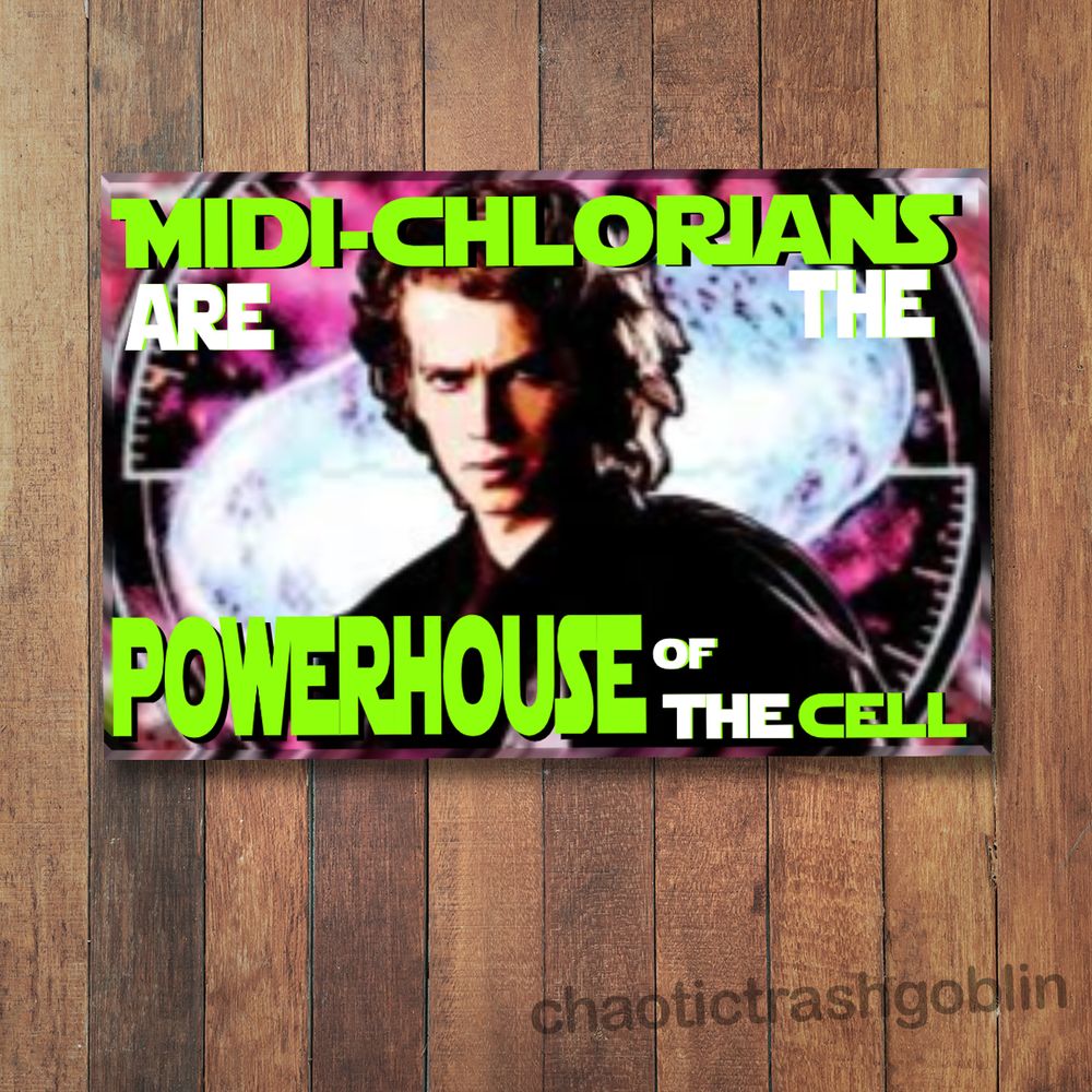 Midichlorians are the Powerhouse of the Cell